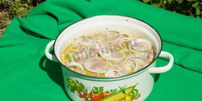 Шаг 4: шашлыка из курицы на пиве с молоком