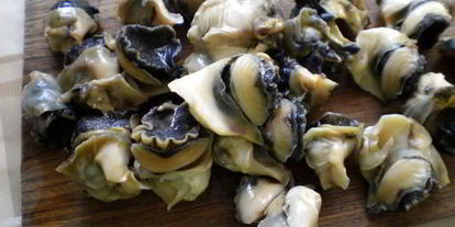 Шаг 1: шашлыков из рапана