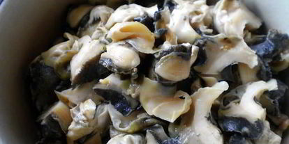 Шаг 3: шашлыков из рапана