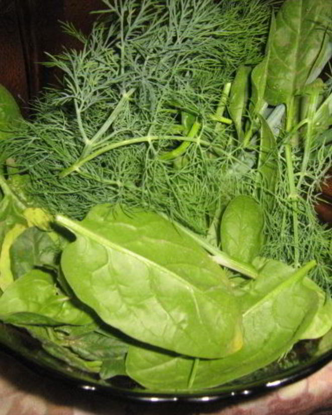 Рецепт тефтелей со шпинатом под йогуртно-сливочным соусом