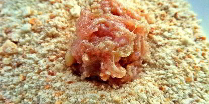 Шаг 7: тефтелек с трехцветной пастой и овощной подливой