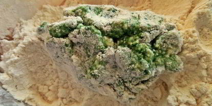 Шаг 12: творожных ньокков со шпинатом, запеченные под сыром