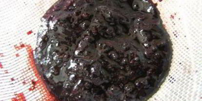 Шаг 12: вареников с черникой и соусом под шафе