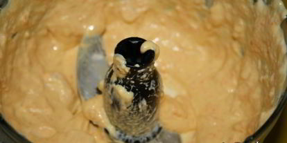 Шаг 15: новогоднего рыбного жаркого оскал дракона