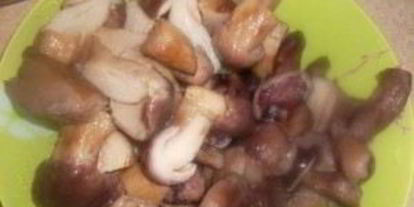 Шаг 2: жаркого из грибов с картошкой