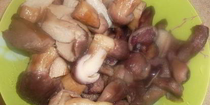 Шаг 2: жаркого с грибами по-домашнему