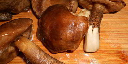 Шаг 1: жаркого с грибами в мультиварке