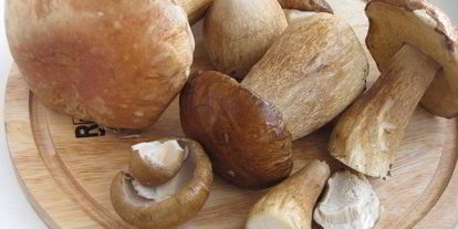 Шаг 2: жаркого в горшочках с белыми грибами и свининой