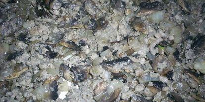 Шаг 3: картофельно-тыквенных зразы с очень вкусной начинкой