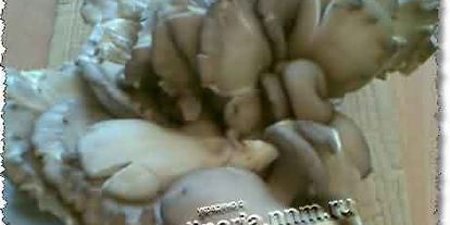 Шаг 12: зраз мясных