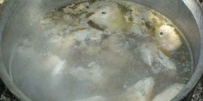 Шаг 4: каши лесной