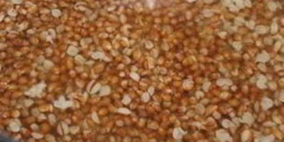 Шаг 1: кутьи в скороварке