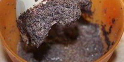 Шаг 2: кутьи в скороварке