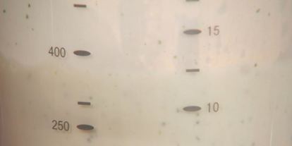 Шаг 4: овсяной каши на мятном молоке