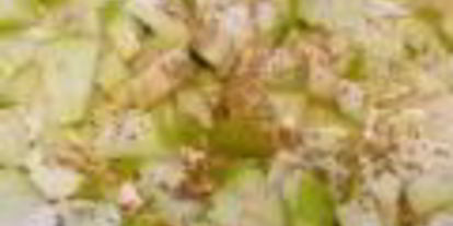 Шаг 2: овсянки