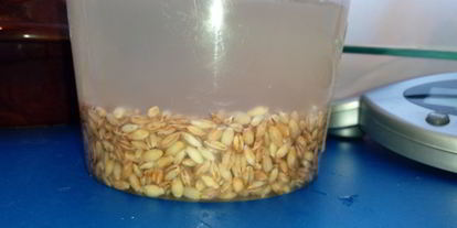 Шаг 1: перловой каши