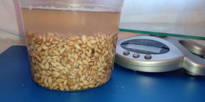 Шаг 2: перловой каши