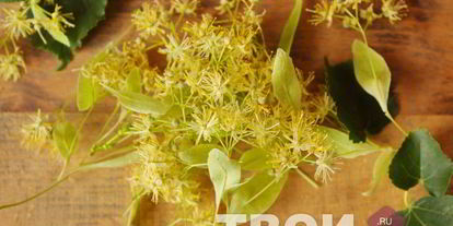 Шаг 1: чая из липы