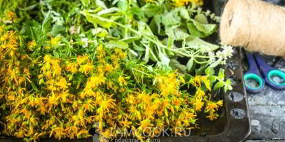 Шаг 6: чая из зверобоя