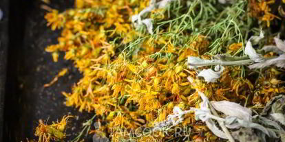 Шаг 7: чая из зверобоя