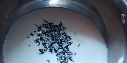 Шаг 2: имбирного чая стоп мороз