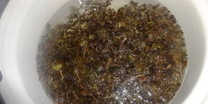 Шаг 1: холодного зеленого чая с ромашкой и мелиссой