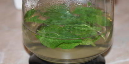 Шаг 3: марокканского мятного чая