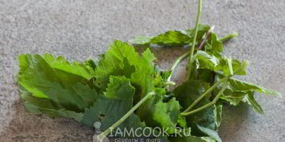 Шаг 3: смородинового чая