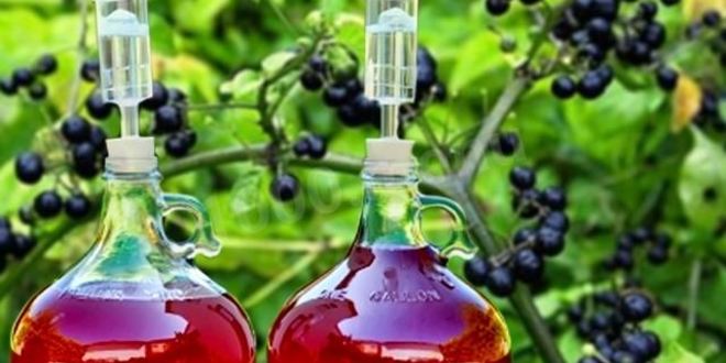Рецепт домашнего вина из санберри
