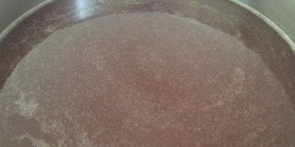 Шаг 4: киселя из ревеня