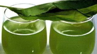 Рецепт Киселя из щавеля