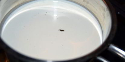 Шаг 2: бомбы кофейной к 9 мая