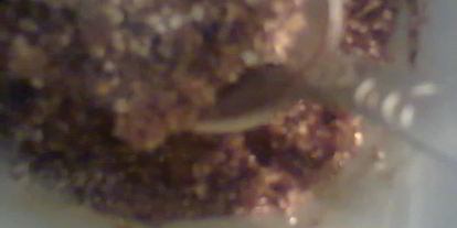 Шаг 1: холодного кофе