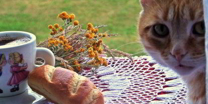 Шаг 10: кофе с кунжутом