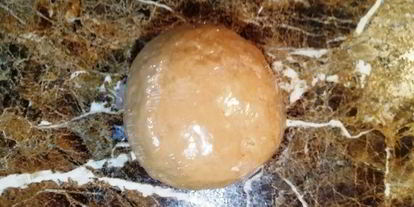 Шаг 3: свиной вырезки в кофейной панировке с пастой