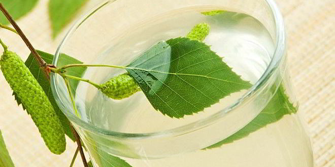 Рецепт березового кваса с изюмом