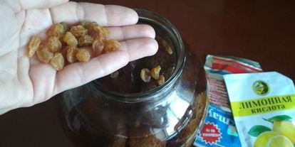 Шаг 4: быстрого кваса