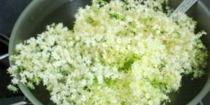 Шаг 2: кваса из бузины