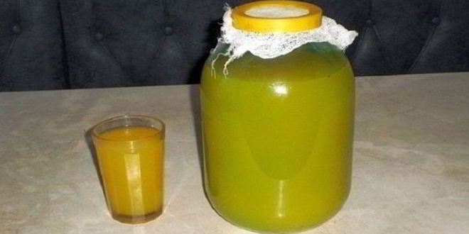 Рецепт Кваса из чистотела