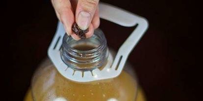 Шаг 13: кваса из ржаного хлеба