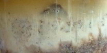 Шаг 2: кваса из ржаного солода