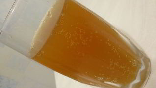 Рецепт Кваса на солоде