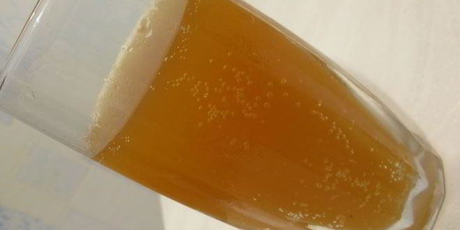 Рецепт кваса на солоде