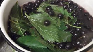 Рецепт Ликера Арника