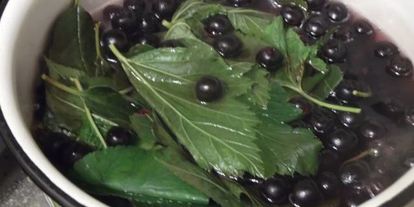 Шаг 2: ликера арника