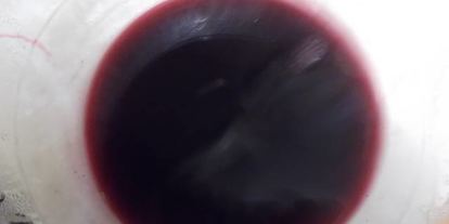 Шаг 4: ликера арника