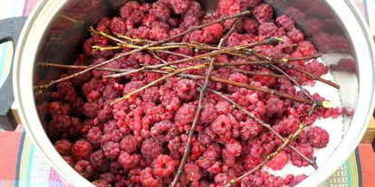 Шаг 1: малинового ликера