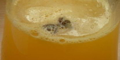 Шаг 3: оранчеллоликера апельсино-мандариновый