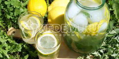 Шаг 7: домашнего лимонада с лимоном и мятой