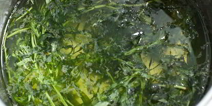 Шаг 4: лимонада из грейпфрута и тархуна